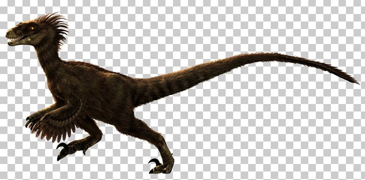 Velociraptor Primal Carnage: Extinction Spinosaurus Carnotaurus PNG, Clipart, Animal Figure, Bird, Carnotaurus, Dinosaur, Download Free PNG Download