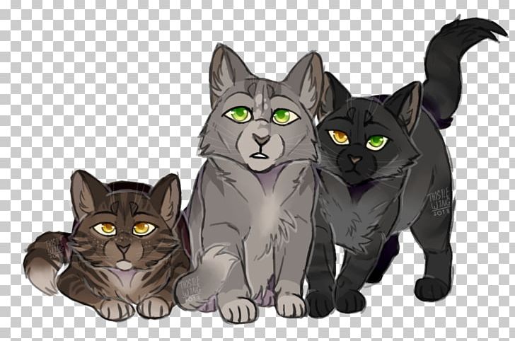 Korat Kitten Black Cat Domestic Short-haired Cat SkyClan's Destiny PNG, Clipart,  Free PNG Download