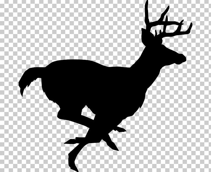 White-tailed Deer Stencil Reindeer PNG, Clipart, Animals, Antelope, Antler, Beak, Black And White Free PNG Download