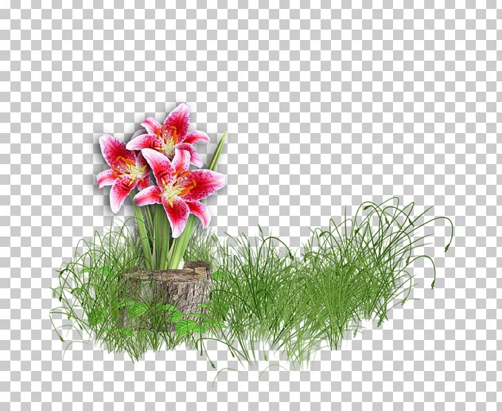 Flower Lilium PNG, Clipart, Artificial Flower, Child, Collection, Cut Flowers, Flora Free PNG Download