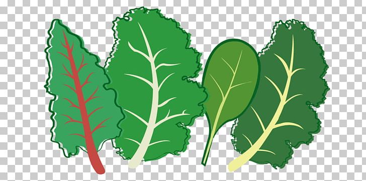 Herb Leaf Vegetable Plant Stem Seed PNG, Clipart, Herb, Herb Garden, Leaf, Leaf Vegetable, Organism Free PNG Download