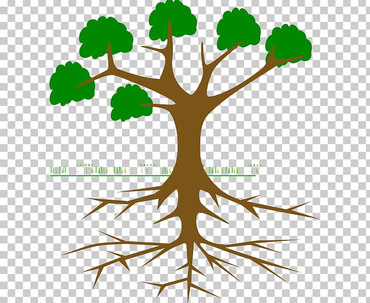 Trees And Leaves Branch PNG, Clipart, Artwork, Branch, Computer Icons, Drawing, Flora Free PNG Download