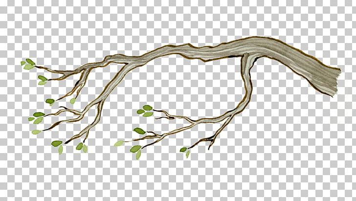 Twig Plant Stem Leaf Wood /m/083vt PNG, Clipart, Branch, Flora, Flower, Leaf, Line Art Free PNG Download
