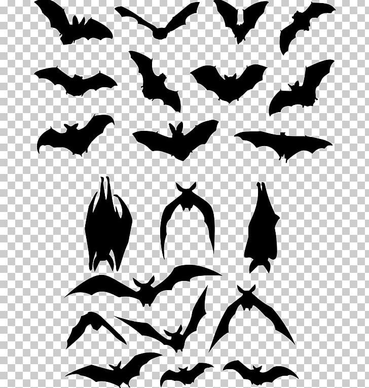 Bat Silhouette PNG, Clipart, Animals, Bat, Beak, Bird, Black And White Free PNG Download