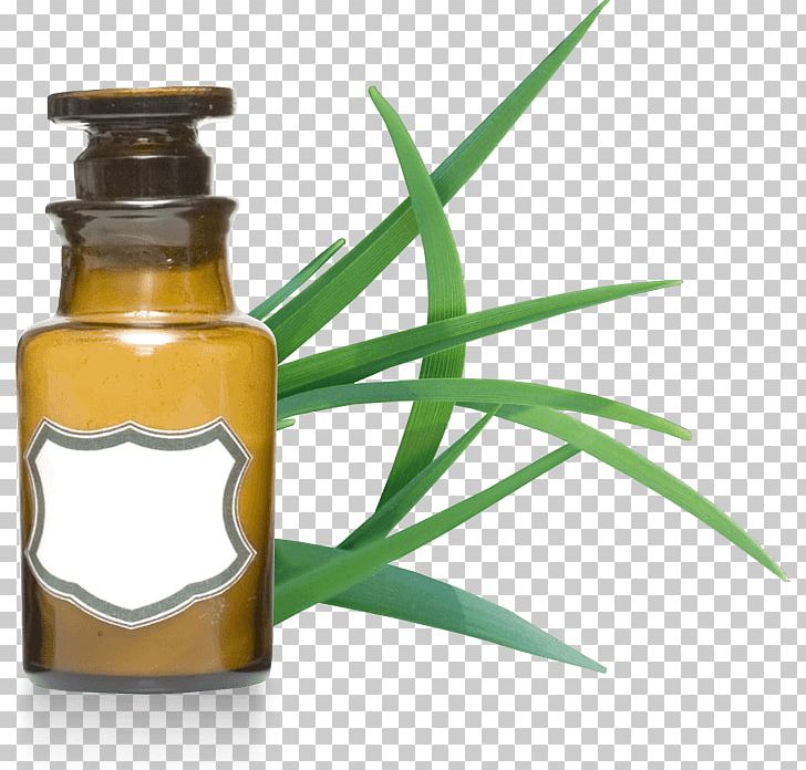 Organic Food Essential Oil Cymbopogon Citratus Cymbopogon Martinii PNG, Clipart, Argan Oil, Aromatherapy, Blackcurrant, Bottle, Cymbopogon Citratus Free PNG Download