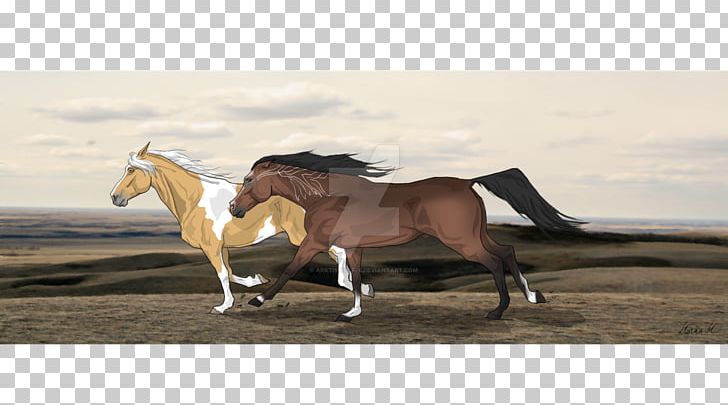 Stallion Mustang Breed Warmblood Horse Tack PNG, Clipart, Breed, Bridle, Color, Flame, Horse Free PNG Download