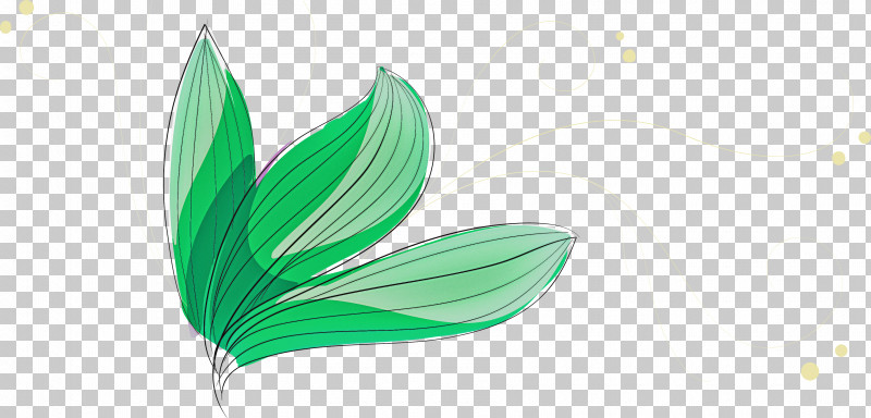 Palm Trees PNG, Clipart, Biology, Dumb Canes, Flower, Houseplant, Leaf Free PNG Download