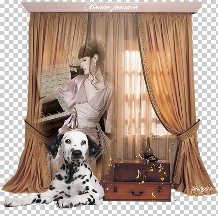 Curtain & Drape Rings Window Furniture Douchegordijn PNG, Clipart, Blanket, Carnivoran, Curtain, Curtain Drape Rings, Dog Free PNG Download