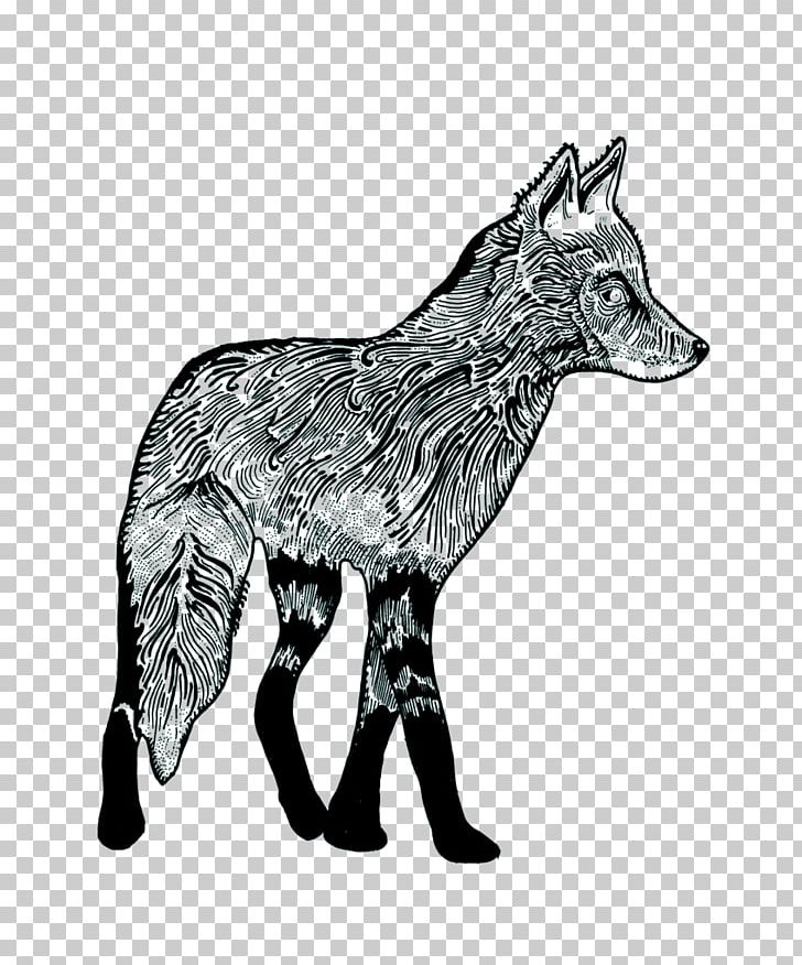 Red Fox Gray Wolf ZAPspace Trampoline Park Jackal Donkey PNG, Clipart, Alt Attribute, Animal, Bar, Black And White, Carnivoran Free PNG Download