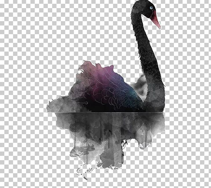 Black Swan Illustration PNG, Clipart, Adobe Illustrator, Animals, Art, Background Black, Beak Free PNG Download