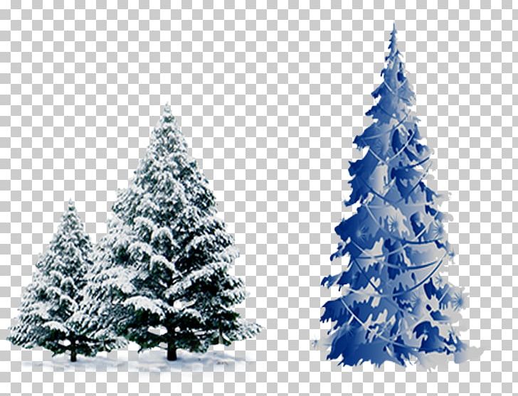 Christmas Tree Cedar Pine Spruce PNG, Clipart, Cartoon, Cartoon Pines, Cedar, Christmas, Christmas Decoration Free PNG Download