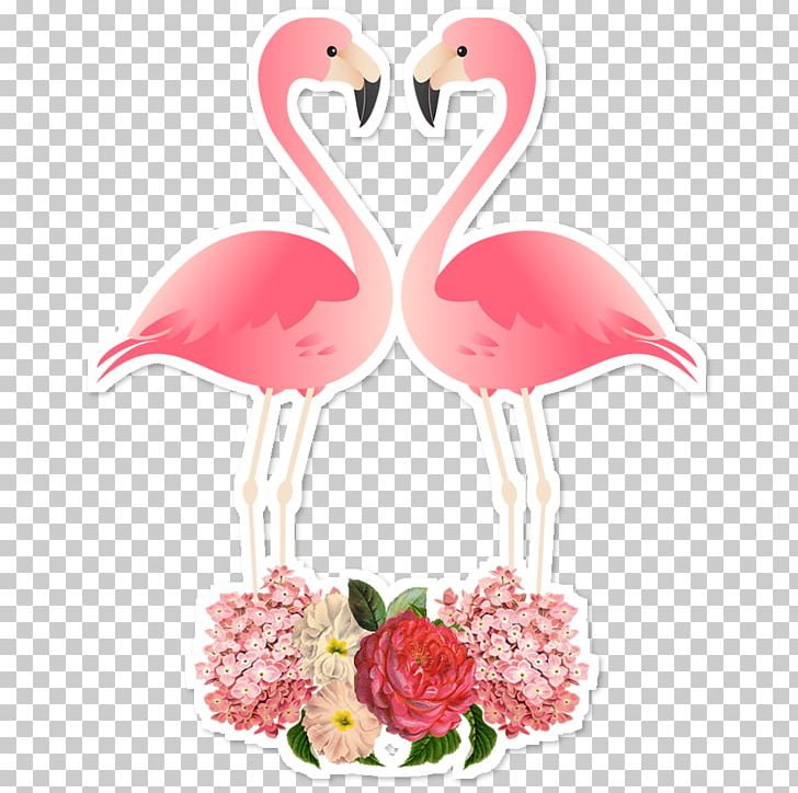 Flamingos Bird Paper PNG, Clipart, Animal, Animals, Beak, Bird, Cut Flowers Free PNG Download
