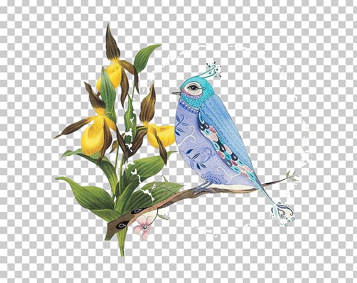 Flower Euclidean PNG, Clipart, Animals, Beak, Bird, Birds, Birds Vector Free PNG Download