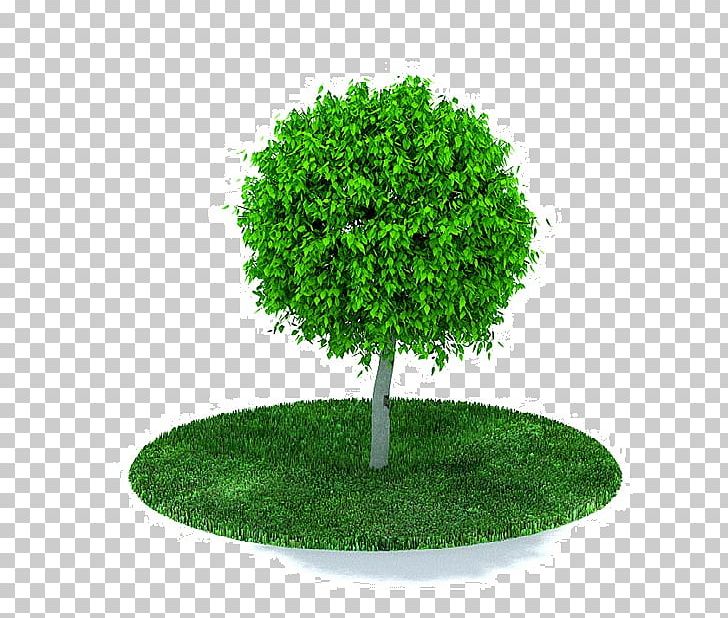 Tree Wavefront .obj File PNG, Clipart, 3d Computer Graphics, 3ds, Agac, Arbor Day, Autocad Dxf Free PNG Download