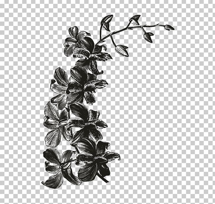 White Leaf Branching Orchids PNG, Clipart, Black And White, Branch, Branching, Leaf, Monochrome Free PNG Download