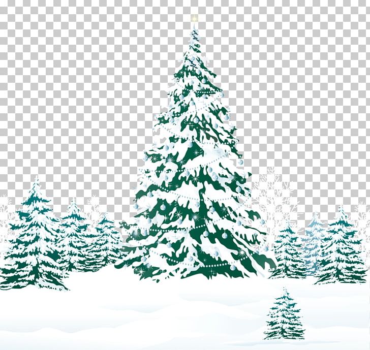Christmas Tree Pine Snow PNG, Clipart, Christmas, Christmas Decoration, Christmas Ornament, Christmas Stockings, Christmas Tree Free PNG Download