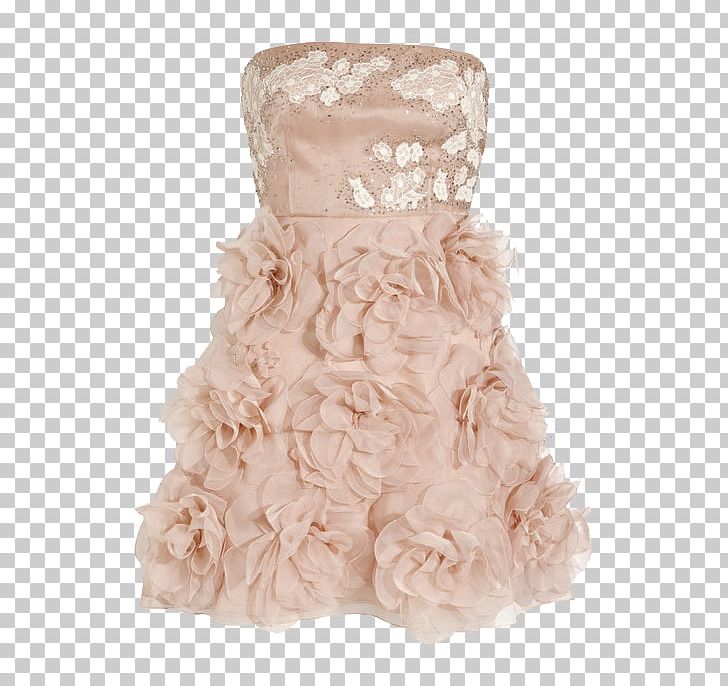 Dress Gown Prom Party Wedding PNG, Clipart, Ball, Bridal Clothing, Bridal Party Dress, Bride, Cocktail Dress Free PNG Download
