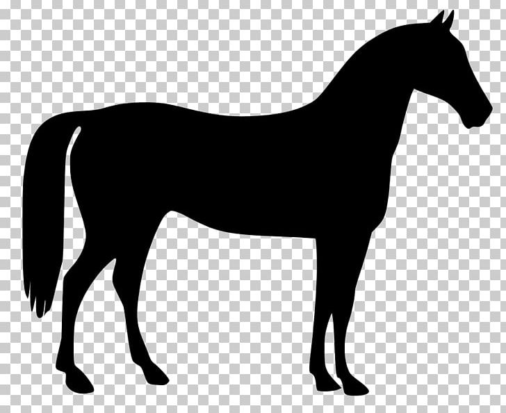 Horse Equestrian PNG, Clipart, Animals, Black, Black And White, Bridle, Canter And Gallop Free PNG Download