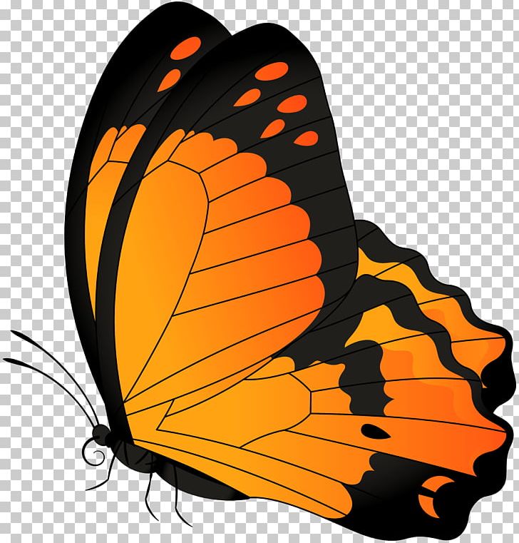 Monarch Butterfly PNG, Clipart, Blue, Brush Footed Butterfly, Butterflies And Moths, Butterfly, Clip Free PNG Download