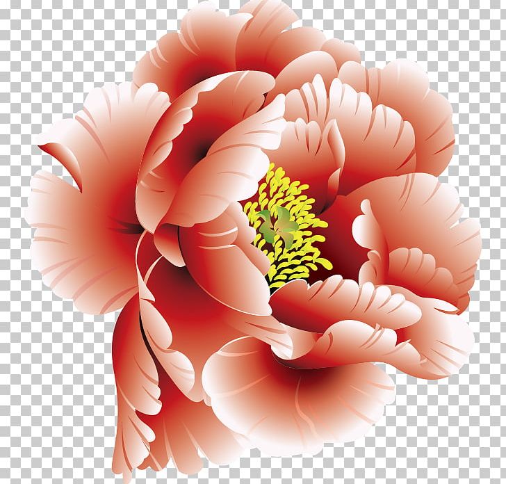 Peony Flower PNG, Clipart, Closeup, Computer, Computer Wallpaper, Cut Flowers, Flower Arranging Free PNG Download