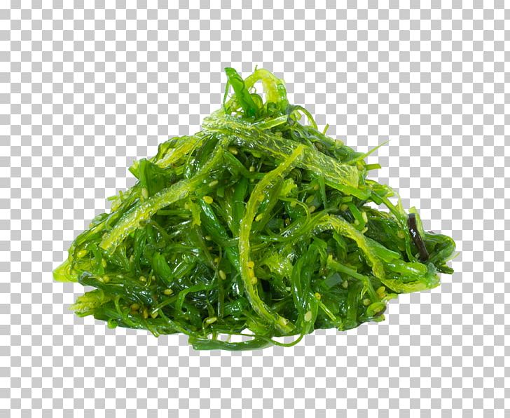 Sushi Japanese Cuisine Wakame Miso Soup Spring Roll PNG, Clipart, Aonori, Cabbage, Chicken Meat, Chinese Restaurant, Cucumber Free PNG Download