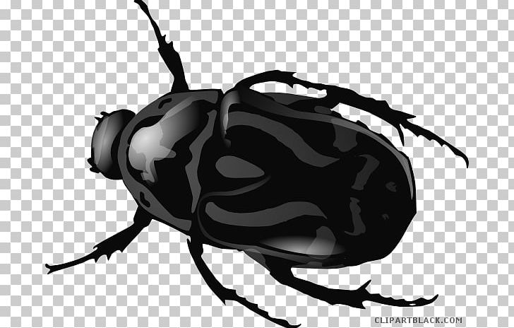 Beetle Open Drawing Graphics PNG, Clipart, Animal, Animals, Arthropod, Beetle, Black And White Free PNG Download