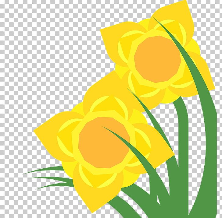 Daffodil Illustration Drawing PNG, Clipart, Art, Artwork, Color, Daffodil, Drawing Free PNG Download