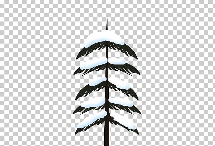 Feather PNG, Clipart, Animals, Feather, Tree Free PNG Download