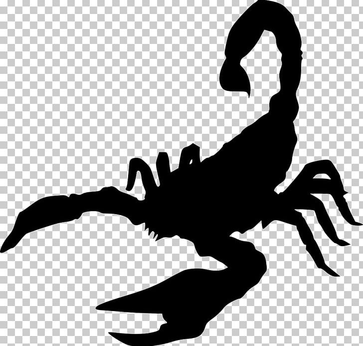 Scorpion Mouse Oil Deathstalker Ant PNG, Clipart, Animal, Ant, Artwork, Black And White, Castor Oil Free PNG Download