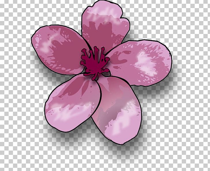 Drawing Blossom Apple PNG, Clipart, Apple, Art, Art Museum, Blossom, Cherry Blossom Free PNG Download