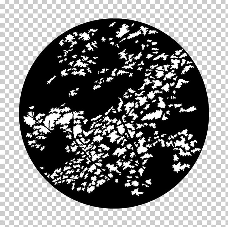 Light Gobo Leaf Branch Tree PNG, Clipart, Apollo, Black, Black And White, Branch, Circle Free PNG Download