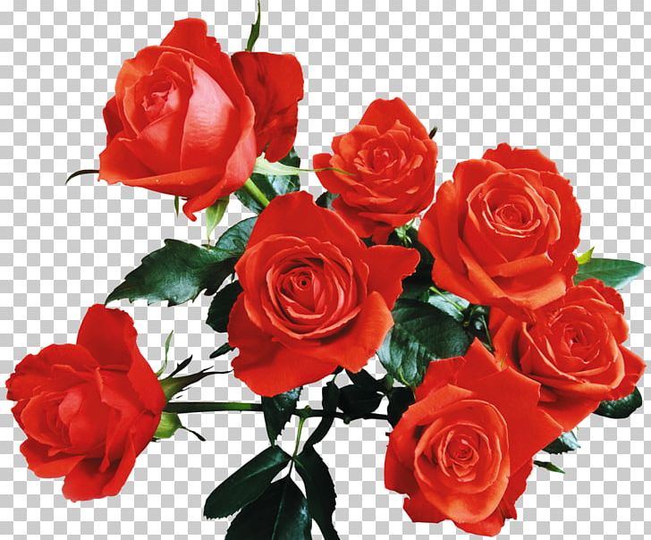 Rose Desktop Red Flower Yellow PNG, Clipart, Artificial Flower, Color, Cut Flowers, Desktop Wallpaper, Floral Design Free PNG Download