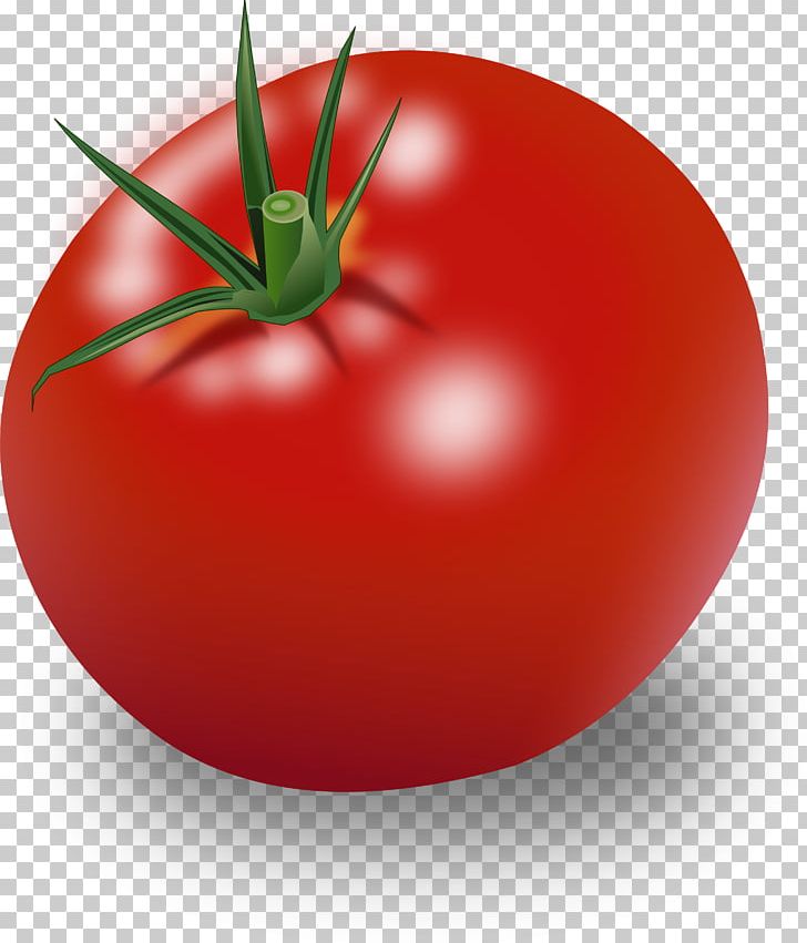 Vegetable Tomato Sauce Cherry Tomato PNG, Clipart, Apple, Bush Tomato, Cherry Tomato, Cli, Diet Food Free PNG Download