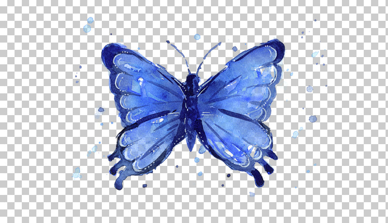 Moths And Butterflies Butterfly Insect Pollinator Blue PNG, Clipart, Blue, Brushfooted Butterfly, Butterfly, Celastrina, Common Blue Free PNG Download