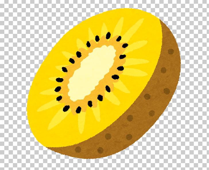Kiwifruit Actinidain Food いらすとや PNG, Clipart, Actinidain, Actinidia Chinensis, Amyloid Beta, Circle, Digestion Free PNG Download