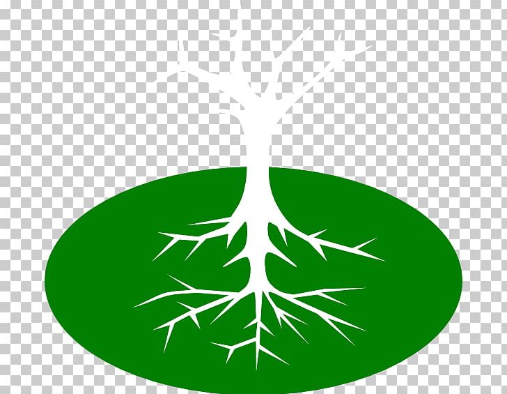 Root Tree PNG, Clipart, Branch, Document, Drawing, Fibrous Root System, Grass Free PNG Download