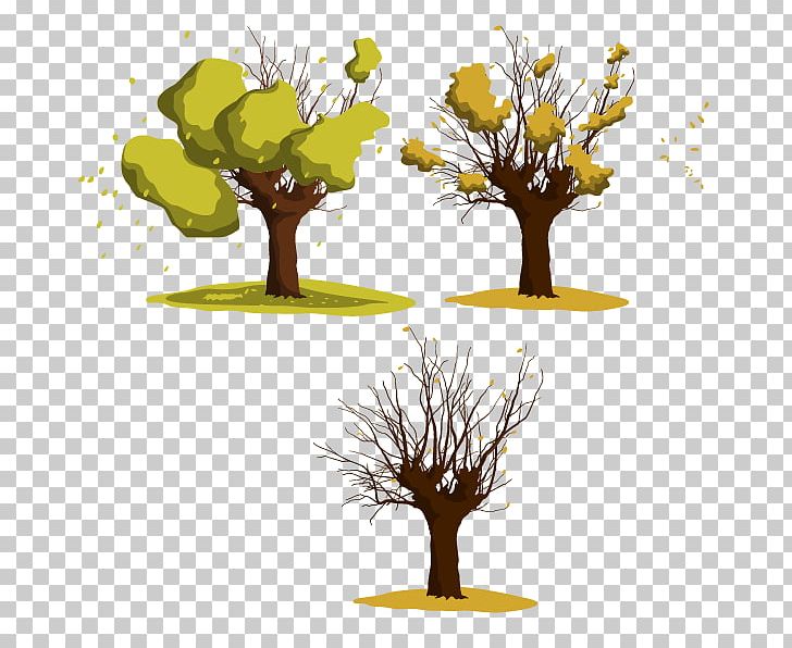 Wattles Tree Euclidean PNG, Clipart, Branch, Computer Wallpaper, Fall Leaves, Grass, Happy Birthday Vector Images Free PNG Download