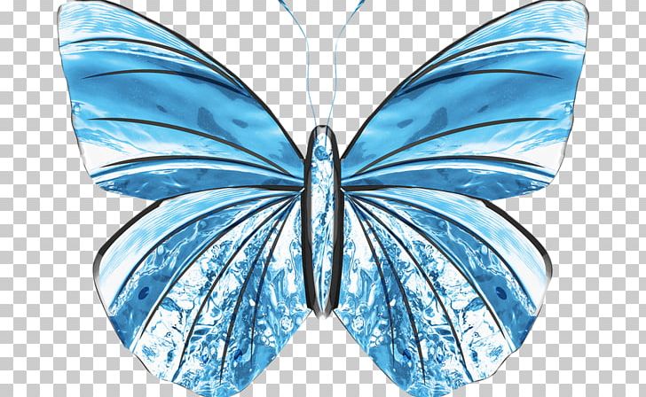 Butterfly Blue Photography Illustration PNG, Clipart, Beautiful Butterfly, Blue, Brush Footed Butterfly, Cartoon, Color Free PNG Download