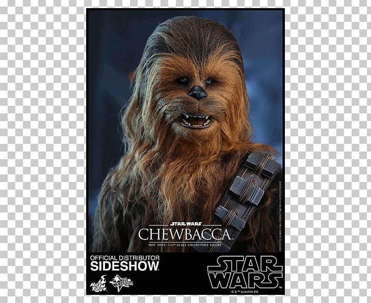 Chewbacca R2-D2 Captain Phasma Rey Clone Wars PNG, Clipart, Action Toy Figures, Chewbacca, Fantasy, Hot Toys Limited, R2 D2 Free PNG Download