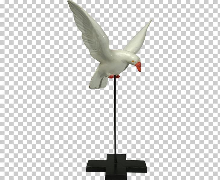 Holy Spirit Cygnini Water Bird Goose PNG, Clipart, Anatidae, Beak, Bird, Colonial Arts, Cygnini Free PNG Download