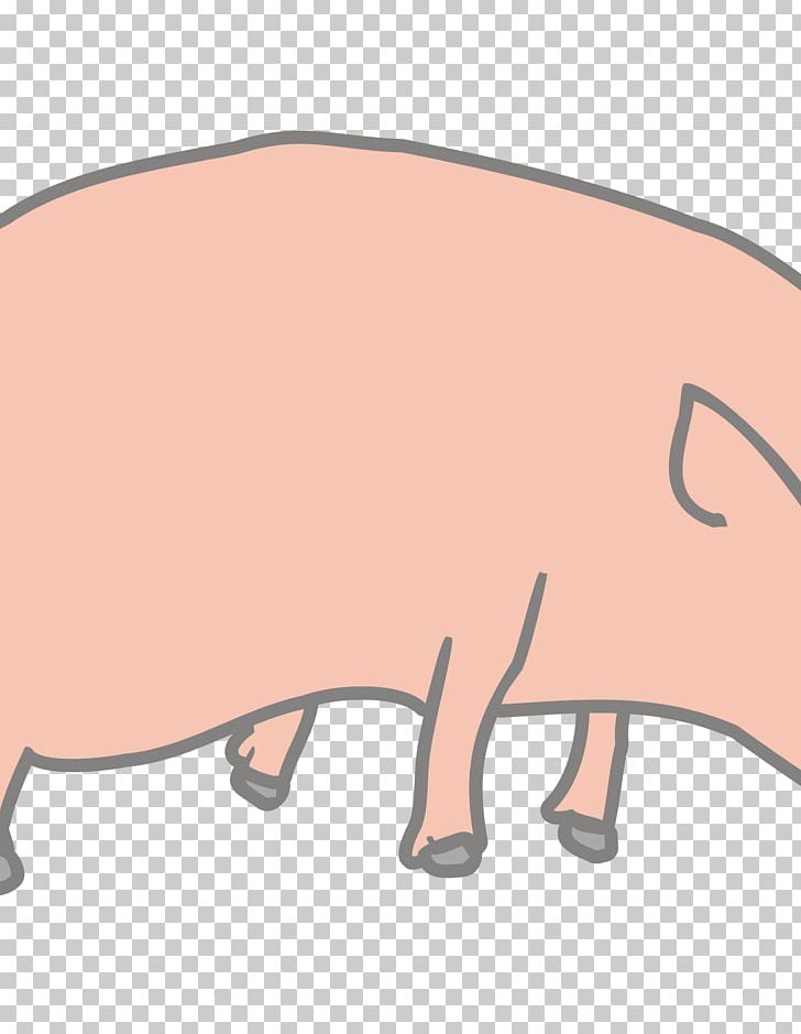 Pig Vietnamese Pot-bellied PNG, Clipart, Animals, Carnivoran, Cartoon, Cattle Like Mammal, Cdr Free PNG Download