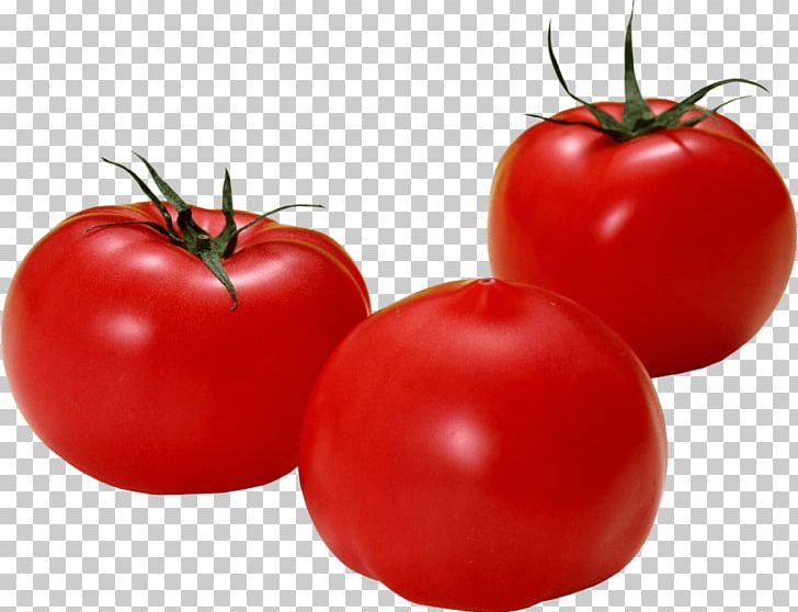 Portable Network Graphics Cherry Tomato Vegetable Salad Fried Green Tomatoes PNG, Clipart, Bush Tomato, Cherry Tomato, Desktop Wallpaper, Diet Food, Digital Image Free PNG Download