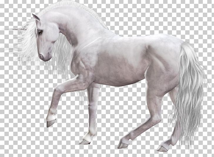 Unicorn Mane Mustang Stallion PNG, Clipart, Animal, Animal Figure, Atlar, Fantasy, Halter Free PNG Download