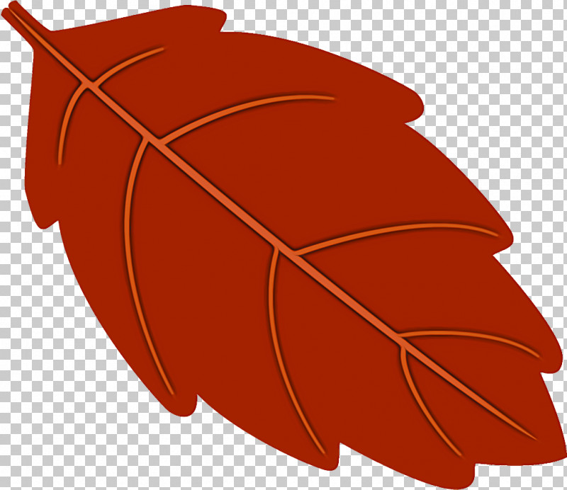 Autumn Leaf Fallen Leaf Dead Leaf PNG, Clipart, Autumn Leaf, Dead Leaf, Fallen Leaf, Leaf, Plant Free PNG Download