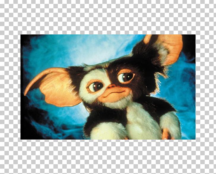 Gizmo Mogwai Film Amblin Entertainment PNG, Clipart, Amblin Entertainment, Art, Beak, Childhood, Chris Columbus Free PNG Download