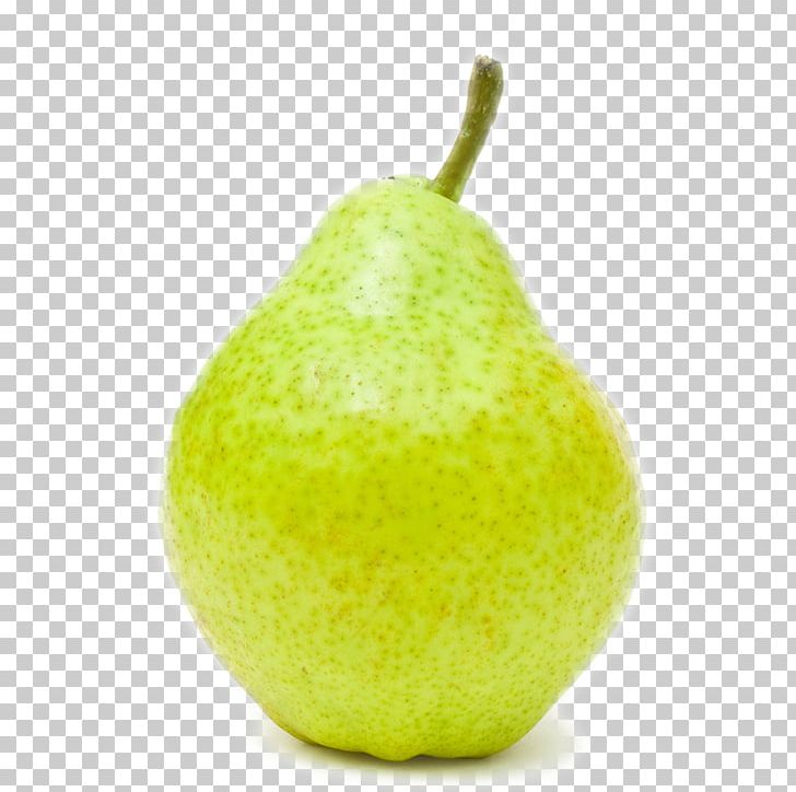 Sydney Euclidean Icon PNG, Clipart, Citron, Encapsulated Postscript, Food, Fruit, Lime Free PNG Download