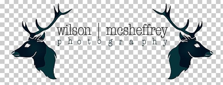 Wilson McSheffrey Photography Photographer Wedding Photography PNG, Clipart, Antler, Deer, Elopement, Glasgow, Horn Free PNG Download
