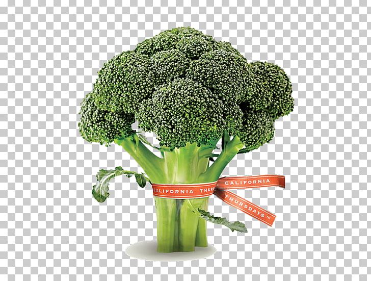 Broccoli Quality 0 Antioch Purchasing PNG, Clipart, 2016, Achieve, Antioch, Broccoli, Cut Flowers Free PNG Download