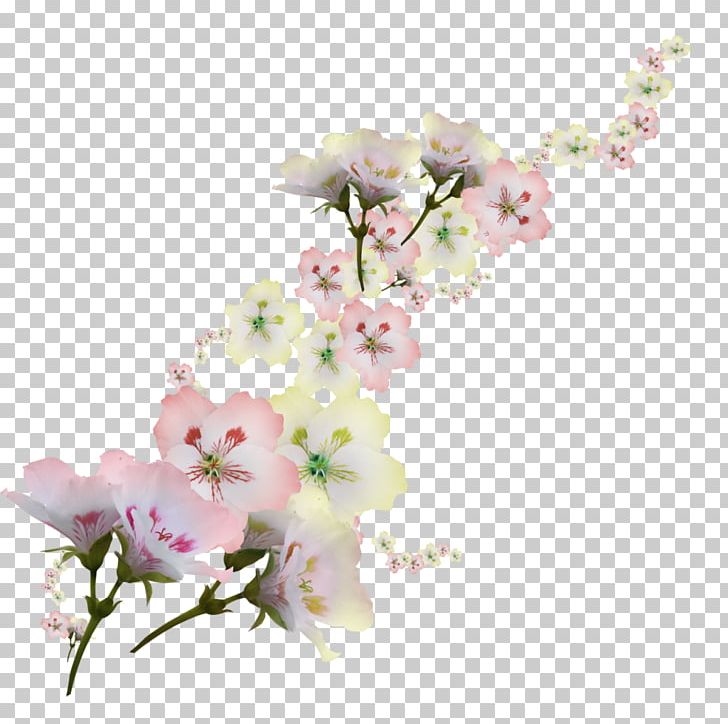 Flower Arranging Photography Branch PNG, Clipart, Blossom, Branch, Cherry Blossom, Comic, Cut Flowers Free PNG Download