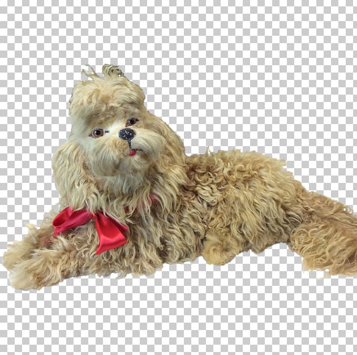 Dog Breed Shih Tzu Companion Dog Stuffed Animals & Cuddly Toys Snout PNG, Clipart, Bisque, Breed, Carnivoran, Companion Dog, Dog Free PNG Download